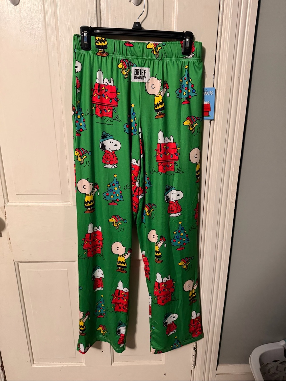 Peanuts Green Holiday Pajama Pants with Snoopy & Charlie Brown Print